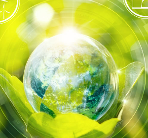 Manual ISO 14001 - Environmental Management System